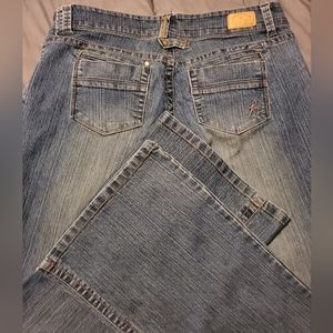 Hydraulic Medium Wash Junior-Plus Flare Jeans